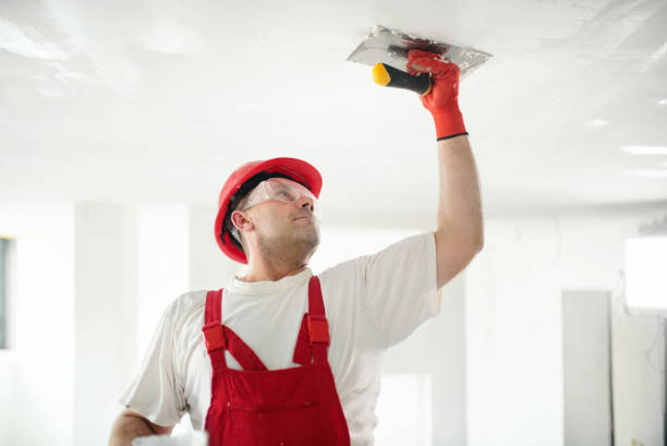 Best Wallpaper Removal and Painting  in Midwest City, OK